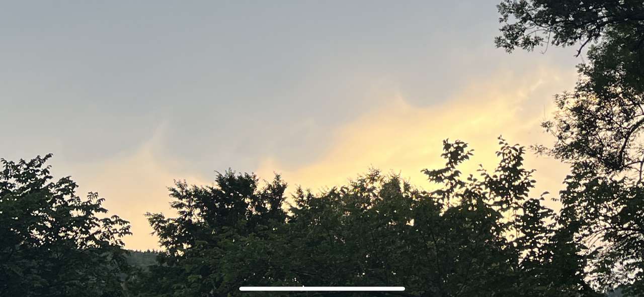 5068051C-867F-41CA-8408-323B04340968