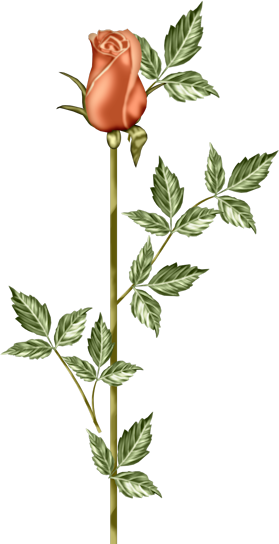 Kerade_Element_19