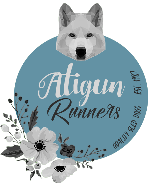 Atigun Runners Avatar