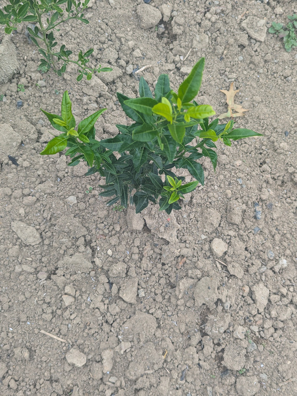 PXL 20260919 191107877