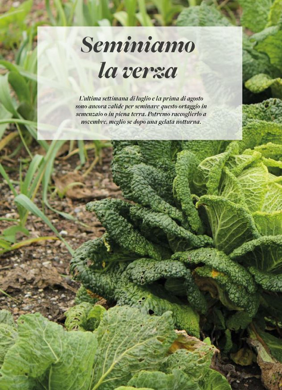 Pass Giar e Orto Ago 2025 (11)