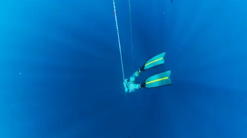 Фридайвинг на Филиппинах – курс в Freedive-Inn (Пуэрто-Галера) Фридайвинг на Филиппинах – курс в Freedive-Inn (Пуэрто-Галера)