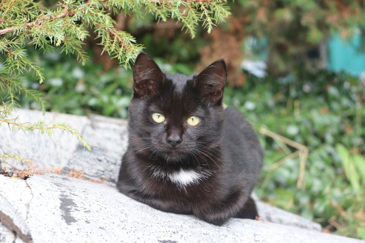 imgonline-com-ua-Resize-CjxOywdaC87c4Ld