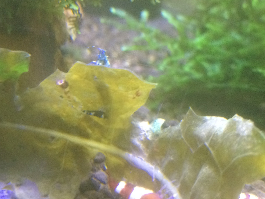 93718E2C-193C-425D-B027-3A660D42AF61