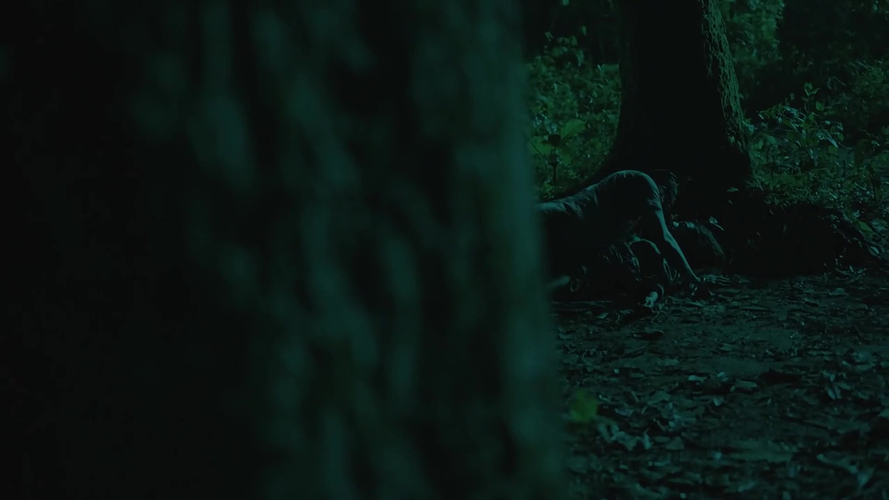 vlcsnap 2025 11 03 23h49m33s981