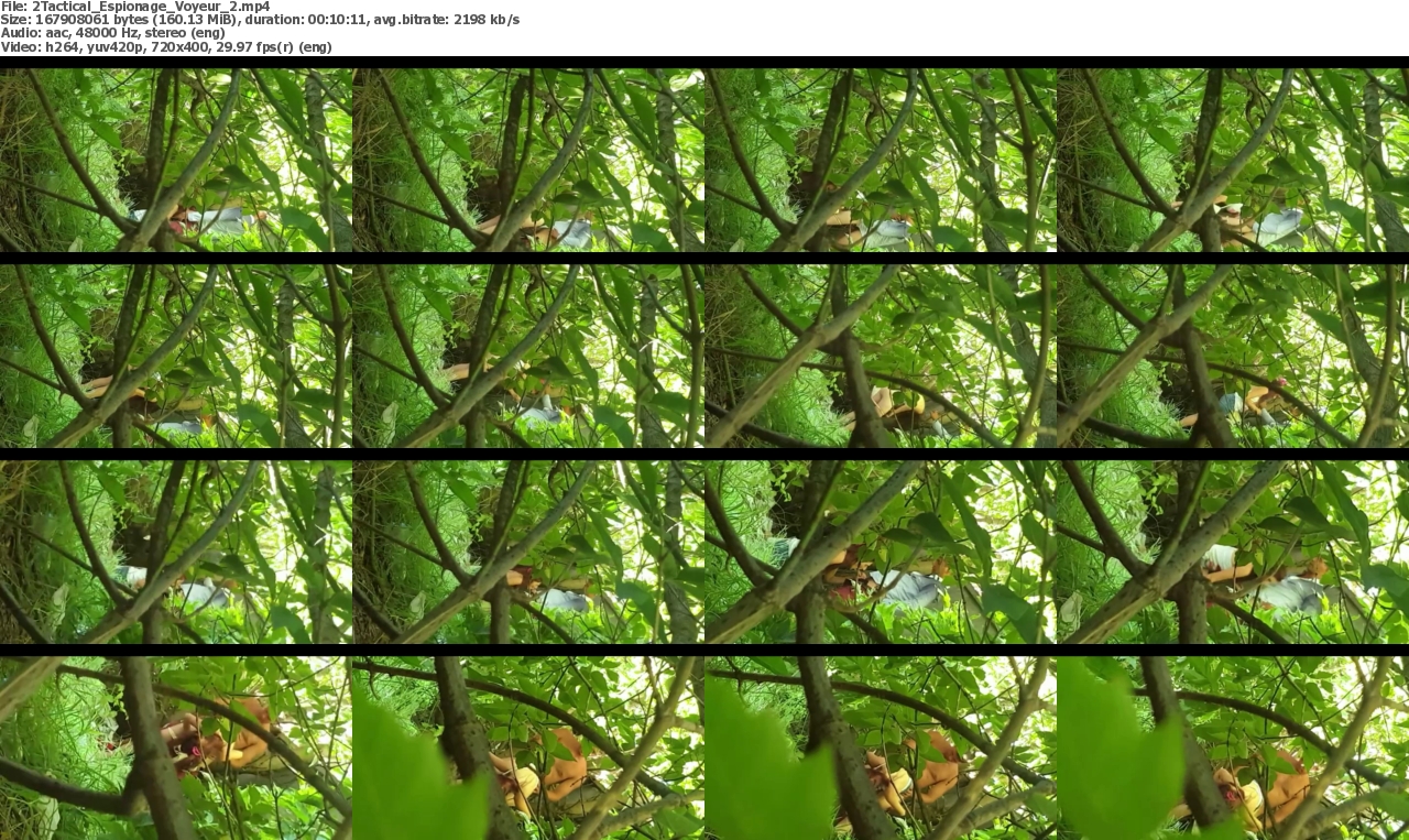 05092022152619screenshot