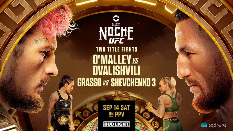 Пуснаха постера за UFC 306