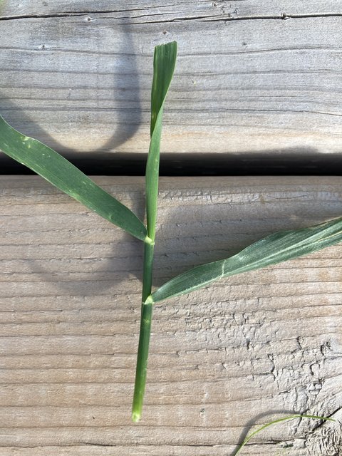 A26A74B7-5145-45CA-A493-656F678CC2A3