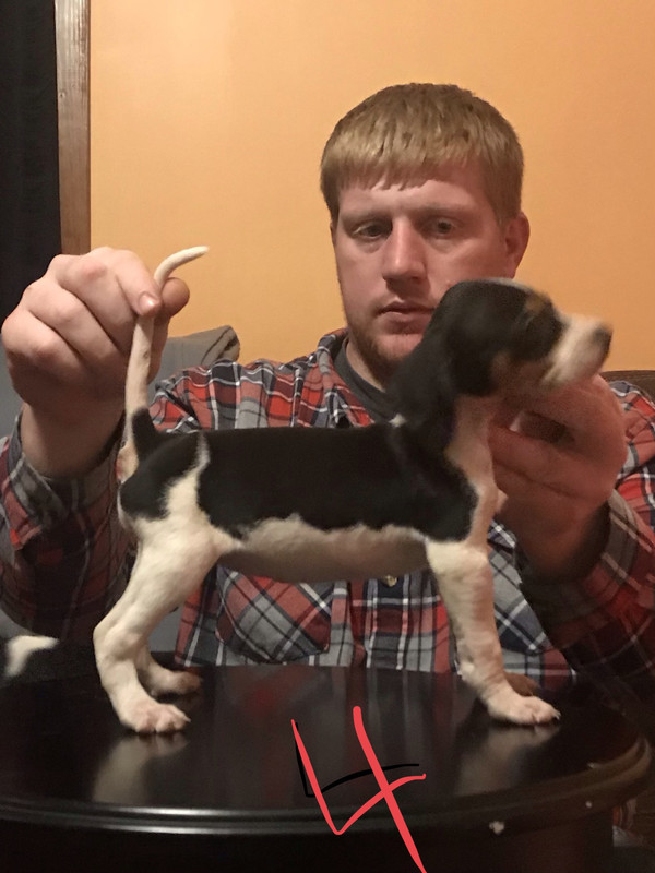 F0BF78A1-7D51-4CD8-971D-840EA0912C36