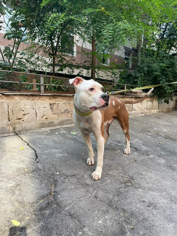 WhatsApp Image 2022-08-05 at 14.54.00 (2)