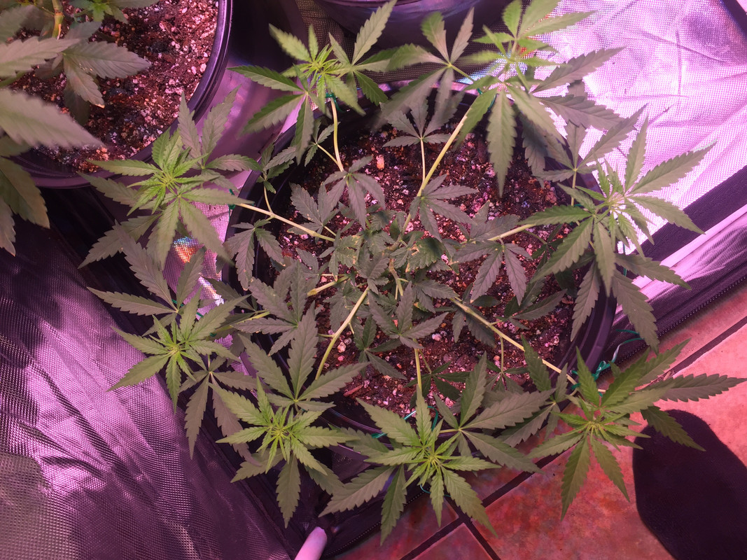 483B0C49-EFB3-4F5B-9CFC-7419DE12CA6A