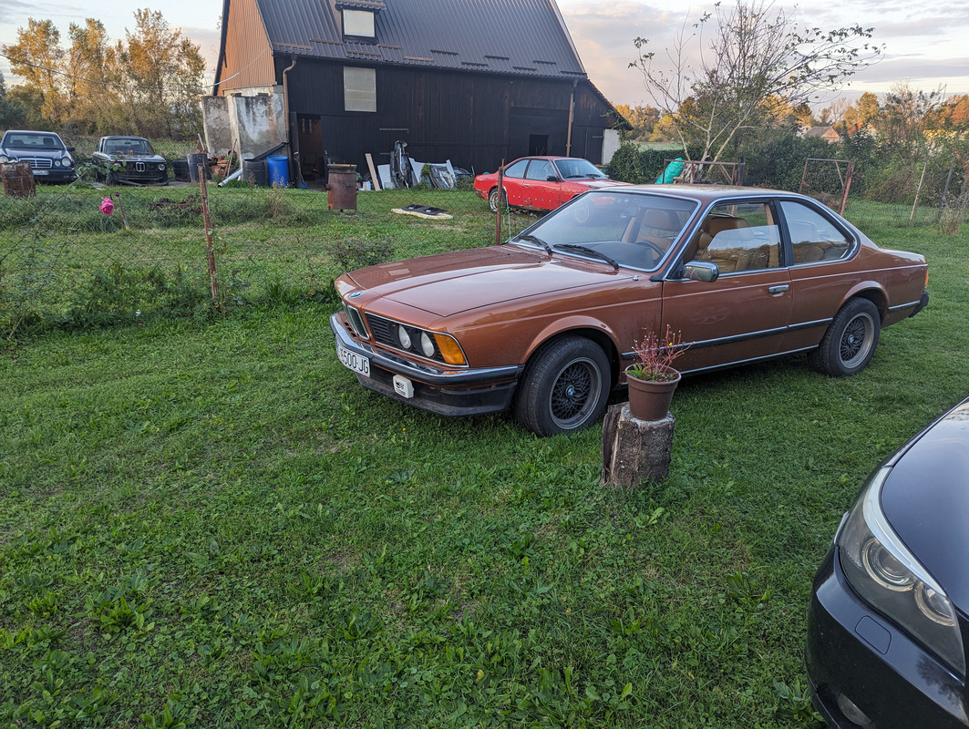 PXL_20231022_154258295