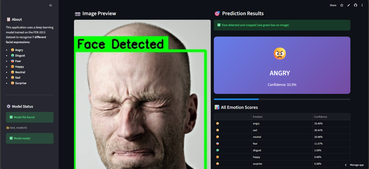 Facial Expression Recognition feature 2 screenshot - AI/ML/NLP project