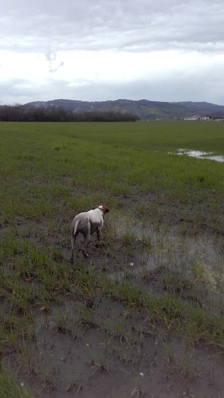 Image-1280_720_20191118T081116