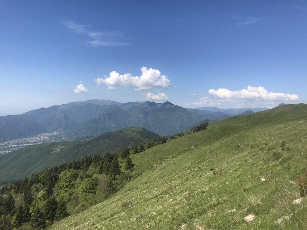 97CBE659-F69E-4D2F-B6E3-F697851C974E