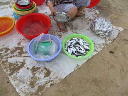 [Image: IMG-6318.jpg]