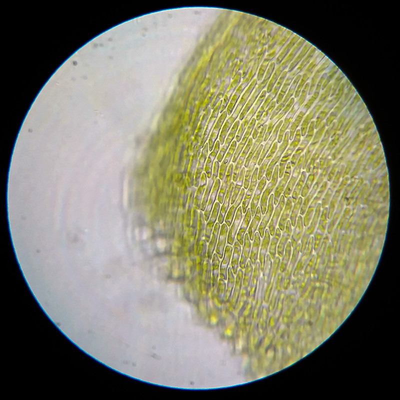 IMG 20250614 122815 HDR