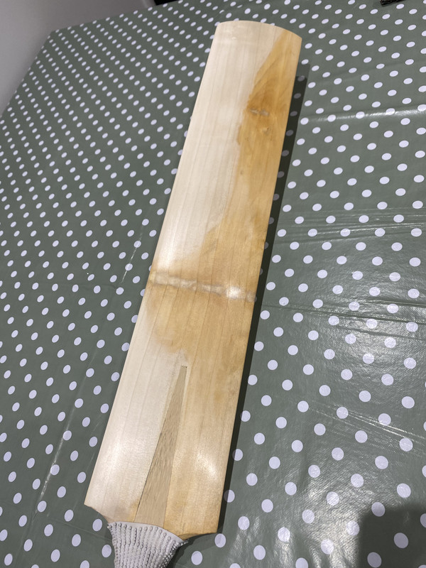 84D373D6-E42A-4D7B-9816-C6594ACB61FD