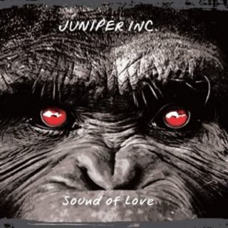 Juniper Inc. - Sound of Love (2017).mp3 - 320 Kbps