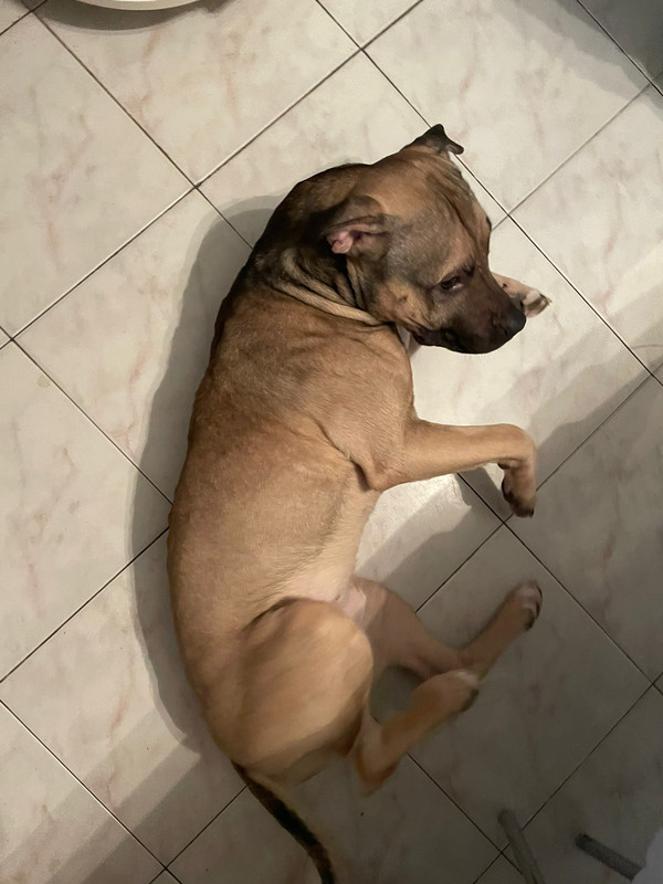 BF2CCE95-876C-4221-A9F5-6DE7FFCA0324