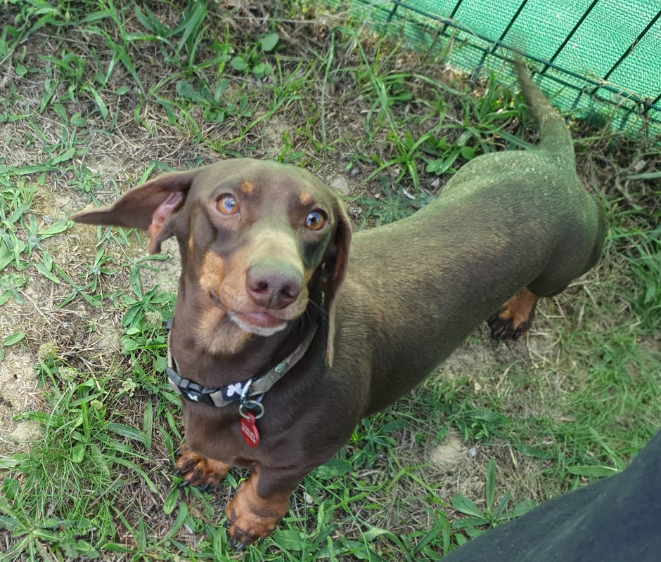 [Image: 20220925-173732.jpg]