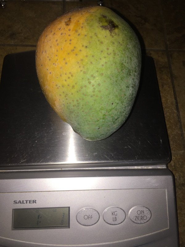 22701E8E-02D0-4A73-8354-03353FDD06F8