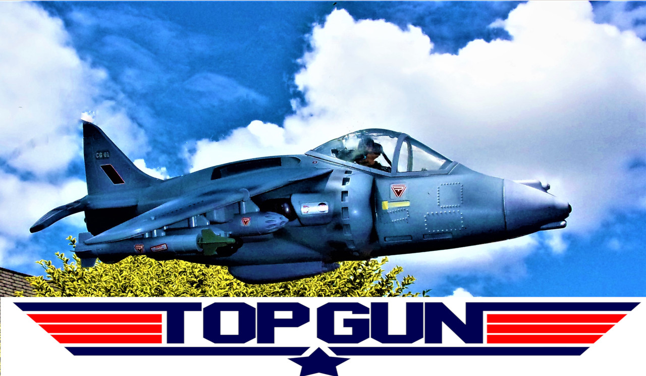 Some new arrivals that I am super happy with: Cherilea Strike Force Eagle Jet 101-2008-Copy