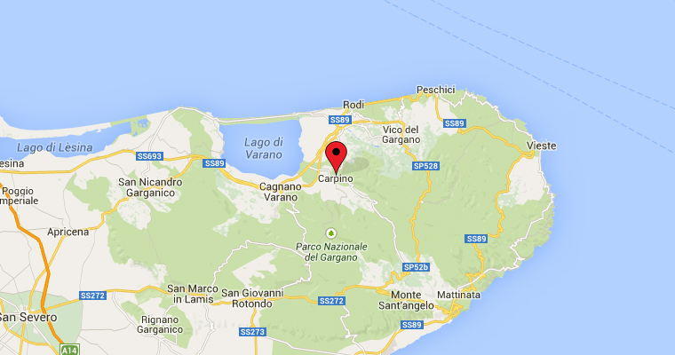 Mappa Carpino