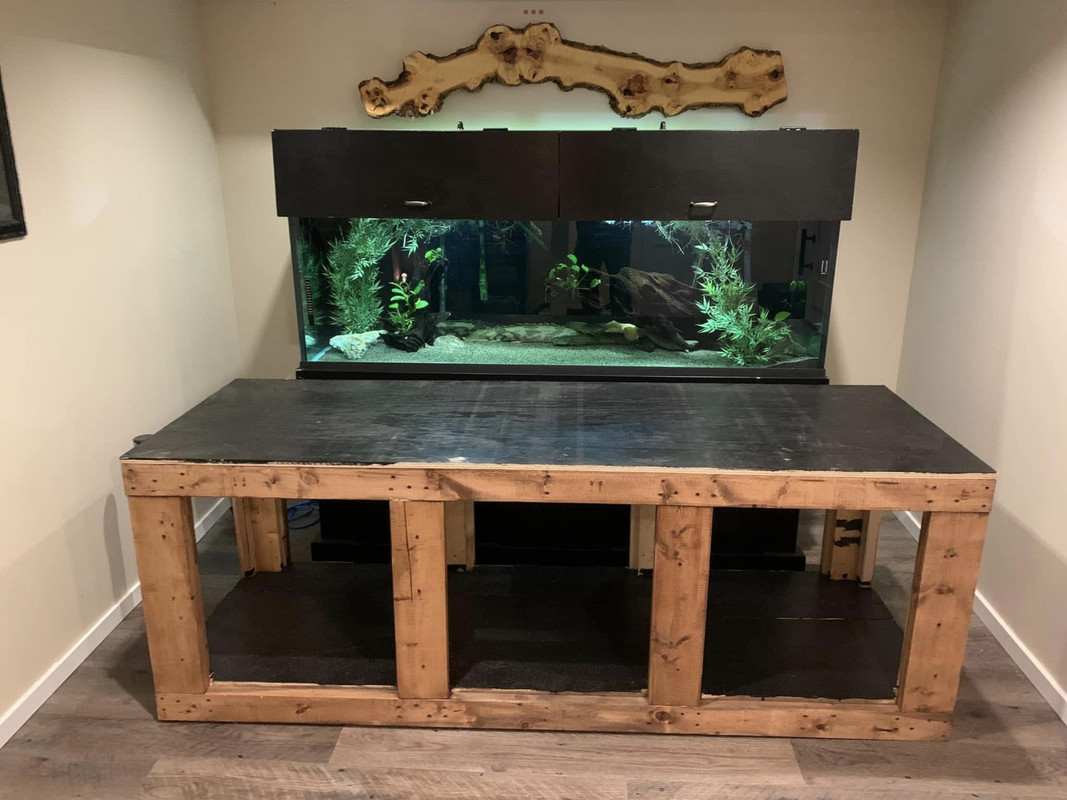 BE45E9FB-4982-4C77-8369-A78F366EAE22