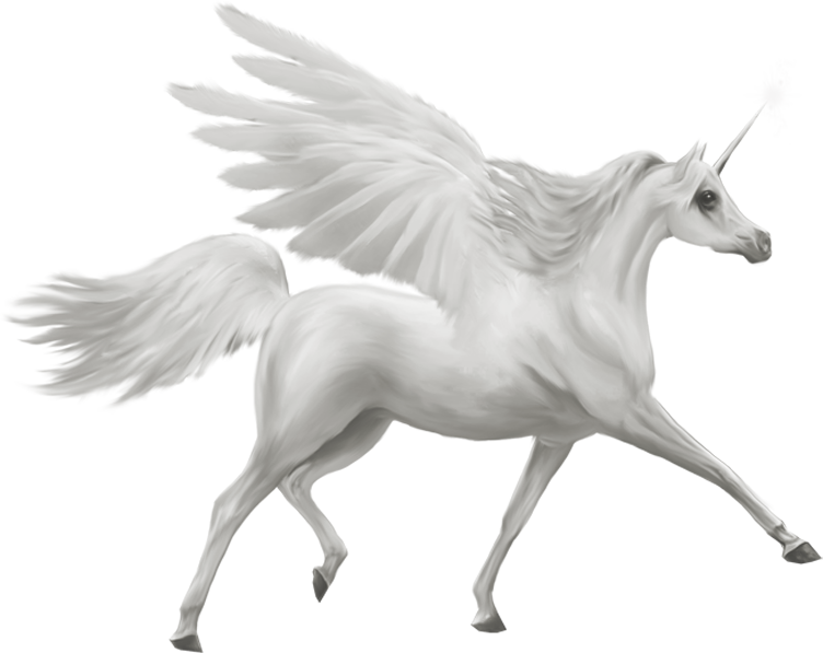 Christmasswishoffairydnunicorn