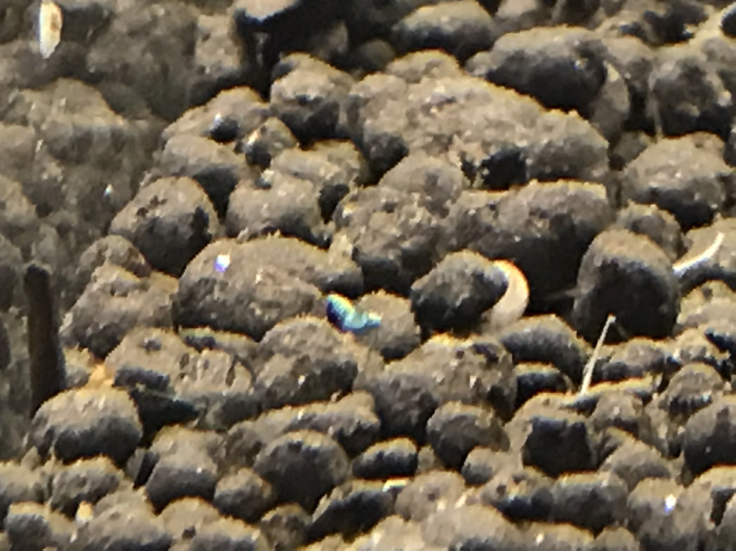 B6B1449A-49D2-4DBC-B3E7-564A557713DE