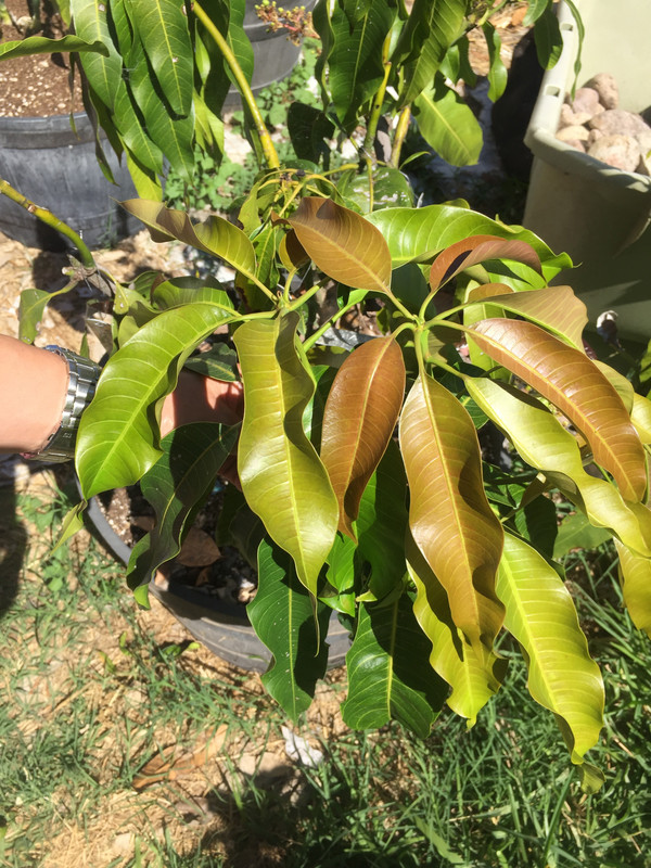 7E52A2BE-3104-43C8-9B6E-A1F162C89F67