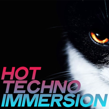 Various Artists   Hot Techno Immersion (2020)