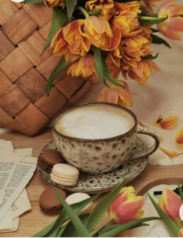 Screenshot_20230211_150618_Chrome