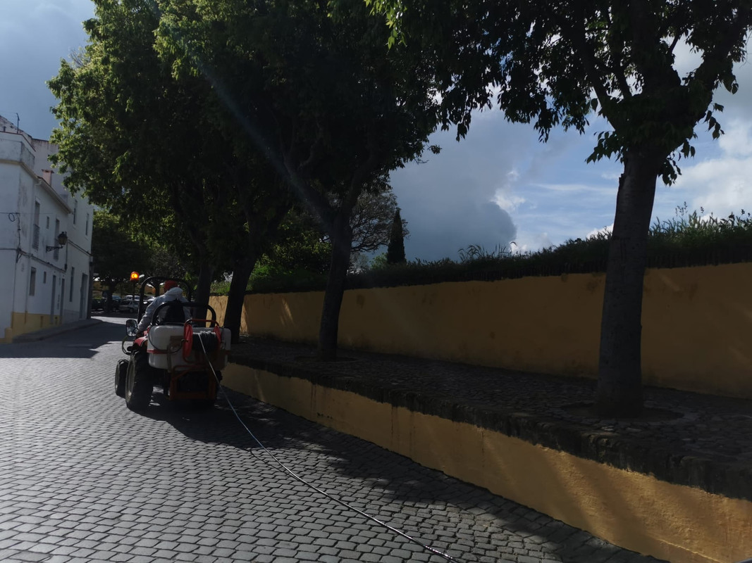 ELVAS: CÂMARA MUNICIPAL PROSSEGUE COM AÇÕES DE HIGIENIZAÇÃO 3