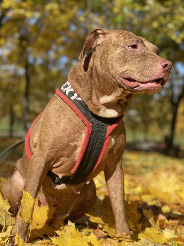 2CB4E871-8A0C-44BF-B46D-57D0D0962383