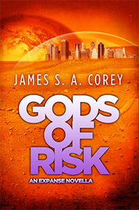 The cover for Gods of Risk