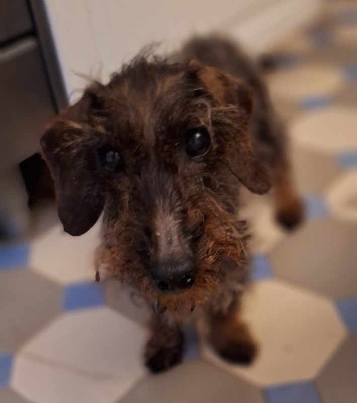 [Image: 20250223-181037.jpg]