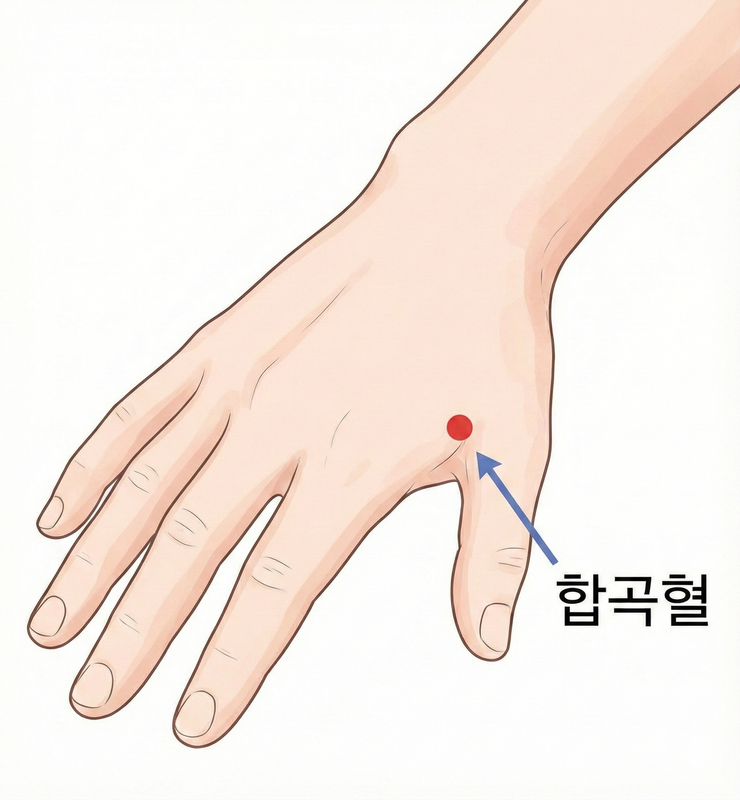 합곡 지압점 위치