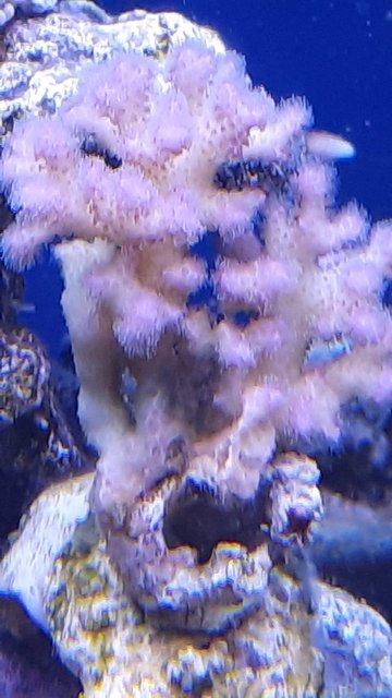 WhatsApp Image 2021-02-19 at 13.05.22 (1)