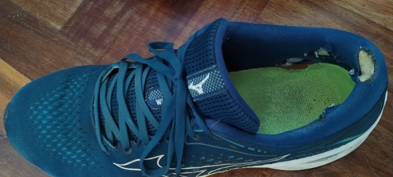 IMG_20240618_184848754