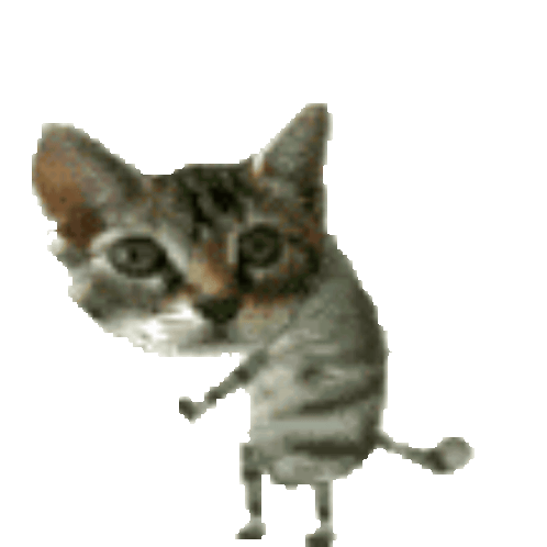 cat-weird-cat.gif