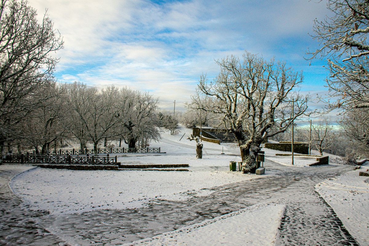 F6DD9714-BE8B-439C-8CEB-20ADB7826536