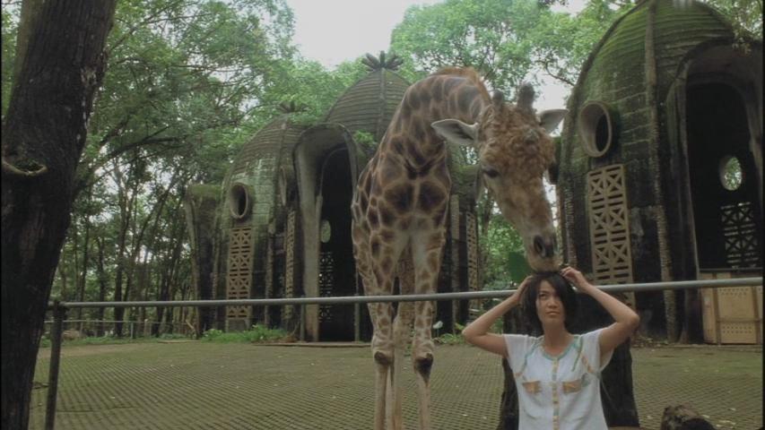 Postcards From The Zoo (2012).mkv_snapshot_00.21