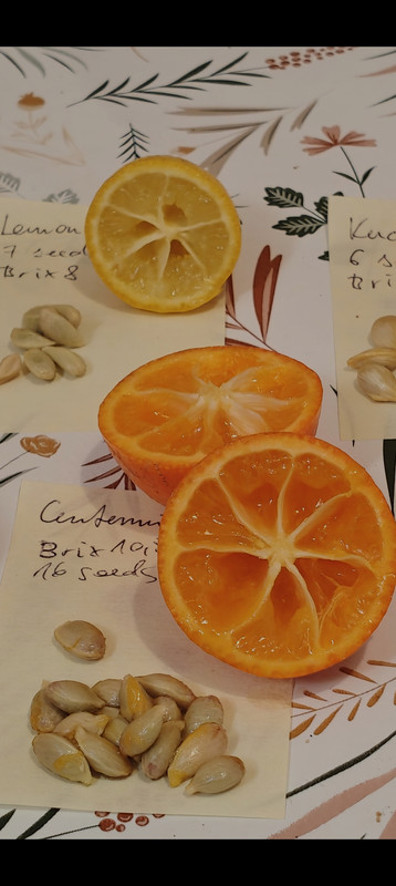 Screenshot 2026 03 07 08 22 05 18 92460851df6f172a4592fca41cc2d2e6