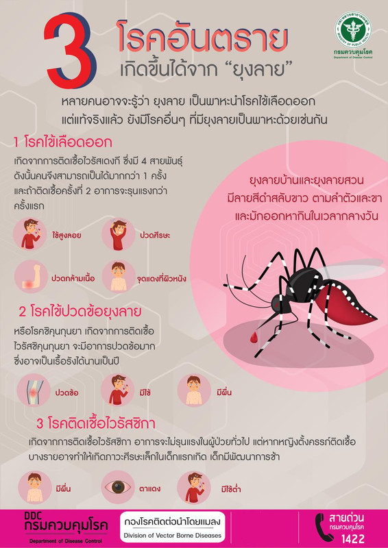 3 โรคอันตราย เกิดขึ้นได้จาก ยุงลาย