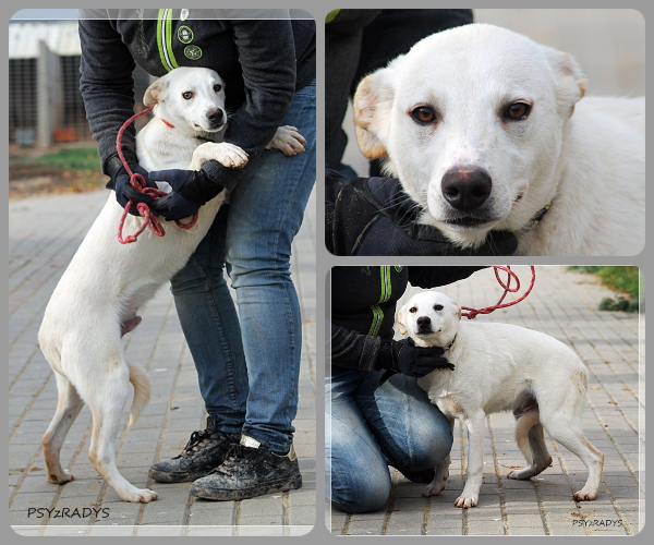 BeFunky-collage (15)