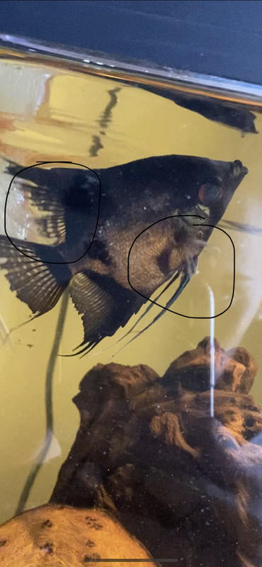 D3FCDAC3-9EC7-4F8C-9F42-0ABDFC6C8057