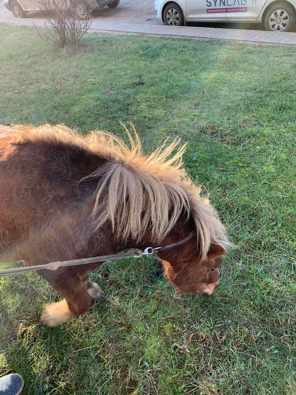 1FE50C8F-7FF6-49DA-9496-BCC494745874