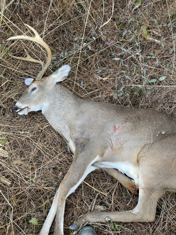 83E80FC7-5834-4942-A5D4-1E8BAB63ED75